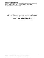 bản thuyết minh báo cáo tài chính tổng hợp quý tài chính kết thúc 31 tháng 3 năm 2011 công ty cổ phần sông đà 11