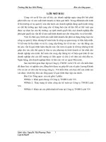 thực trạng tổ chức công tác kế toán tại công ty tnhh lichi vn