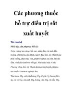 Các phương thuốc hỗ trợ điều trị sốt xuất huyết ppt