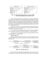 Chiến lược truyền thông cổ đông 5 pps