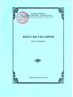 tập đoàn sông đà công ty cổ phần đầu tư phát triển sông đà báo cáo tài chính quý 4 năm 2011
