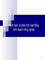 Hạch toán và phân tích hoạt động kinh doanh nông nghiệp docx