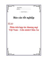 Luận văn: Phân tích hợp tác thương mại Việt Nam – Liên minh Châu Âu pptx