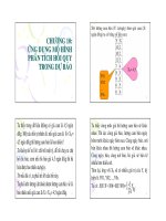 Mô hình phân tích hồi qui 1 pot