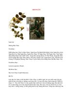 Lý Thuyết Dược Học: KIM NGÂN ppsx