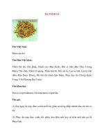 Lý Thuyết Dược Học: DẠ MINH SA pps