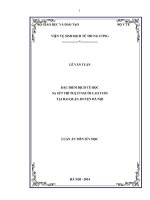 Đặc điểm dịch tễ học sa sút trí tuệ ở người cao tuổi tại hai quận, huyện Hà Nội