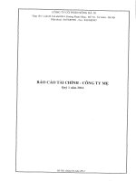 công ty cổ phần sông đà 10 báo cáo tài chính công ty mẹ quý 1 năm 2014