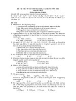 ĐỀ THI THỬ TUYỂN SINH ĐẠI HỌC, CAO ĐẲNG NĂM 2011 Môn thi : HOÁ - ĐỀ SỐ 11 doc
