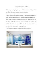 Ý tưởng mới trong trang trí phòng potx