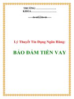 Lý Thuyết Tín Dụng Ngân Hàng: BẢO ĐẢM TIỀN VAY ppt
