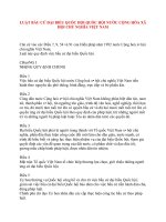 LUẬT BẦU CỬ ĐẠI BIỂU QUỐC HỘI docx