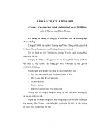 Thực trạng hoạt động sản xuất kinh doanh của Công ty TNHH Sản xuất và Thương mại Thành Thắng