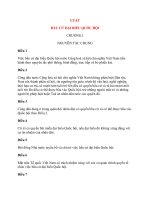 LUẬT BẦU CỬ ĐẠI BIỂU QUỐC HỘI ppsx