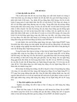 Thực trạng công tác huy động vốn của ngân hàng đầu tư và phát triển việt nam – chi nhánh lạng sơn