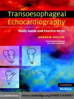 Transoesophageal Echocardiography study guide and practice mcqs phần 1 docx
