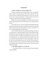 Thực trạng công tác đào tạo và phát triển nguồn nhân lực tại Công ty TNHH Nam Dương