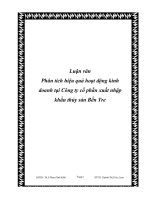 Phân tích hiệu quả hoạt động kinh doanh của công ty cổ phần xuất nhập khẩu thủy sản bến tre