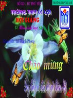 Bai 29 cấu trúc các loại virut