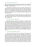 BẢO VỆ SỨC KHỎE - DINH DƯỠNG HỢP LÝ VÀ SỨC KHỎE – 4 docx