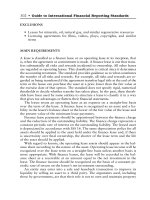 INTERNATIONAL FINANCIAL REPORTING STANDARDS DESK REFERENCE Overview, Guide, and Dictionary phần 4 pot