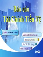 Báo cáo tài chính tiền tệ pptx