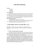 GIẢI PHẪU THÍCH NGHI THỰC VẬT