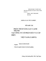 PHÂN TÍCH NĂNG lực CẠNH TRANH tại CÔNG TY cổ PHẦN dây và cáp điện VIỆT NAM (CADIVI)