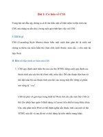 Bài 1: Cơ bản về CSS ppsx