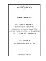 HIỆN TRẠNG kỹ THUẬT NUÔI,  TÌNH HÌNH BỆNH TRÊN cá TRA  (pangasianodon hypophthalmus sauvage, 1878),  NUÔI THỊT TRONG AO đất tại 3 HUYỆN CHÂU PHÚ,  PHÚ tân và CHỢ mới, TỈNH AN GIANG