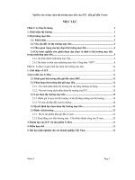 Nghiên cứu và lựa chọn thị trường mục tiêu của ICP  Dầu gội đầu xmen