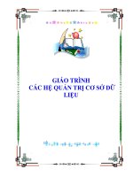 Giáo trình Các hệ quản trị cơ sở dữ liệu doc
