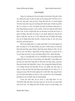 Những biện pháp nhằm nâng cao hiệu quả thực hiện hợp đồng xuất khẩu hàng nông sản sang thị trường châu á ở công ty XNK với lào vilexim