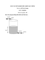 báo cáo thí nghiệm điều khiển quá trình