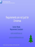 CiGi Technology Limited Consultants for Requirements and Systems Engineering phần 1 potx