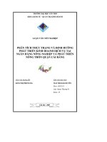 Phân tích thực trạng và định hướng phát triển kinh doanh dịch vụ tại ngân hàng nông nghiệp và phát triển nông thôn chi nhánh quận cái răng