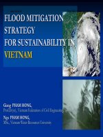 FLOOD MITIGATION STRATEGY FOR SUSTAINABILITY IN VIETNAM pdf