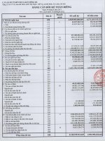 công ty cổ phần đt pt đô thị và kcn sông đà bảng cân đối kế toán riêng  30 tháng 6 năm 2013 báo cáo lưu chuyển tiền tệ báo cáo kết quả hoạt động kinh doanh báo cáo tài chính riêng quý 2 năm 2013