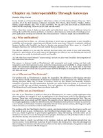 Peer to Peer is the next great thing for the internet phần 10 ppsx