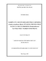 Nghiên cứu  chuyển đổi giới tính cá rô đồng (anabas testudineusbloch, 1972) bằng phương  pháp ngâm và cho ăn hormone  diethylstilbestroltại trại thực nghiệm ninh  phụng