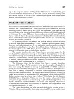 A Complete Guide To Technical Trading Tactics, How To Profit Using Pivot Points, Candlesticks & Other Indicators phần 6 pps