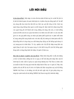 Giải pháp nâng cao năng lực cạnh tranh của hệ thống ngân hàng thương mại việt nam trong tiến trình hội nhập