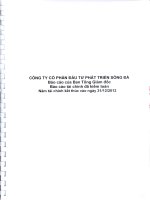 công ty cổ phần đầu tư phát triển sông đà báo cáo của ban tổng giám đốc báo cáo tài chính đã được kiểm toán năm tài chính 31 tháng 12 năm 2012