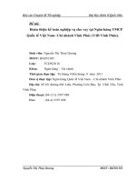 Hoàn thiện kế toán nghiệp vụ cho vay tại ngân hàng TMCP quốc tế việt nam  chi nhánh vĩnh phúc (VIB vĩnh phúc)