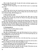 Giáo trình nghiệp vụ kinh doanh thương mại dịch vụ_tập 2_2 pptx