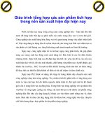 Giáo trình tổng hợp các sản phẩm tích hợp trong nền sản xuất hiện đại hiện nay phần 1 ppt