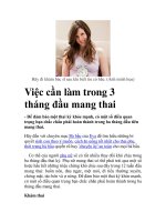 Việc cần làm trong 3 tháng đầu mang thai ppsx