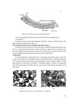 Giáo trình hình thành ứng dụng cấu tạo hệ thống truyền nhiên liệu xả trong động cơ đốt trong p3 ppsx