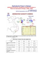 Hydroelectric Power in Vietnam (VNCOLD Document for the Meeting of ICOLD Committee on “Dams for Hydroelectric Energy” (DHE), 2008) docx
