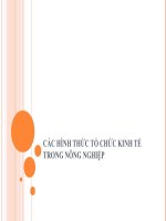 BÀI GIẢNG: CÁC HÌNH THỨC TỔ CHỨC KINH TẾ TRONG NÔNG NGHIỆP potx